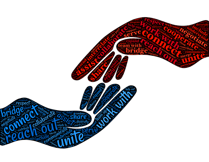 Attached: The New Science of Adult Attachment – Rachel Heller & Amir&nbsp;Levine